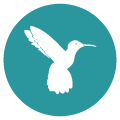 Teal Bird Concepts Logo